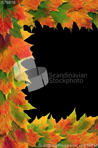 Image of Autumn Leaf Frame