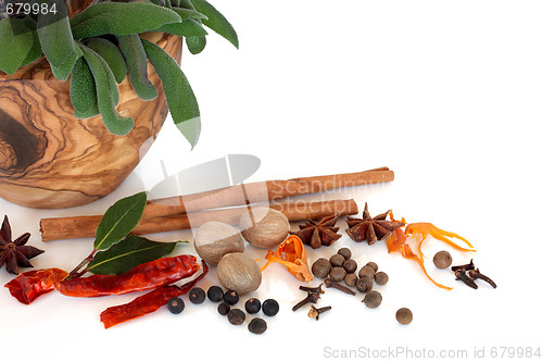 Image of Spices and Herbs