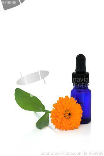 Image of  Calendula Flower Essential Oil