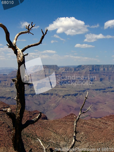 Image of Grand Canyon