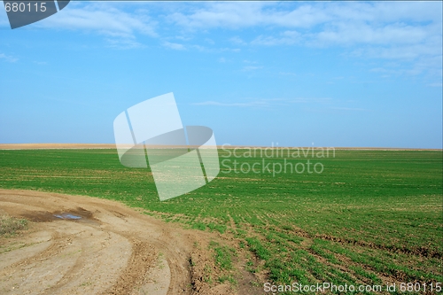 Image of Green Field