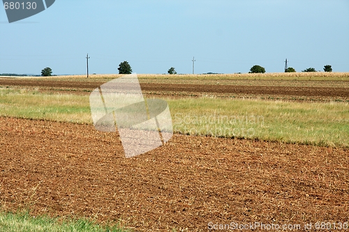 Image of Field