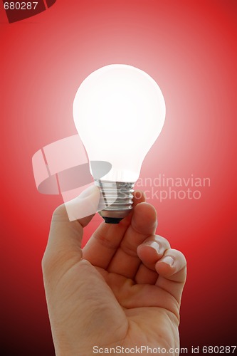 Image of Bulb