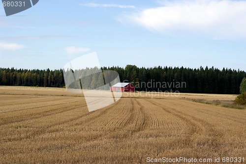 Image of Harvested Grain Field