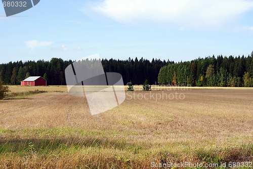 Image of Autumn Field in Finland