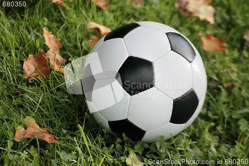 Image of Soccer ball