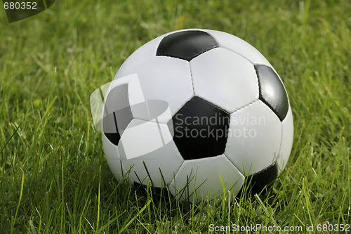 Image of soccer ball on grass