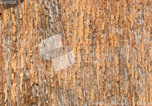 Image of old grungy wood background texture