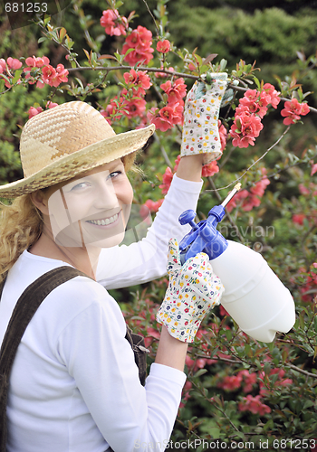 Image of Young woman spraying tree