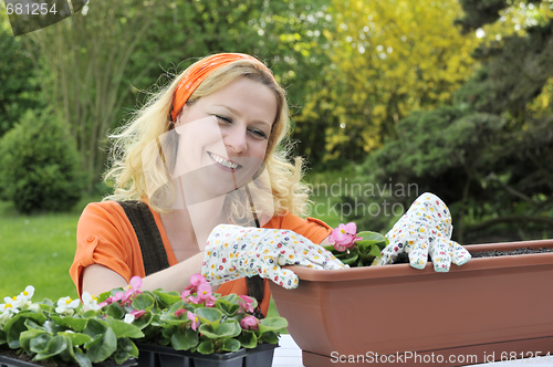 Image of Woman planting flowers