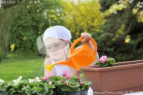 Image of Young girl watering flowers