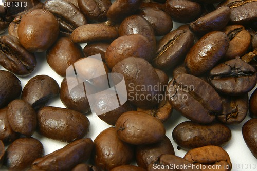 Image of coffee beans