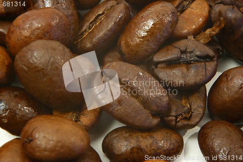 Image of coffee beans