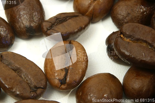 Image of coffee beans