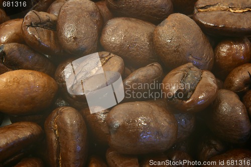 Image of coffee beans