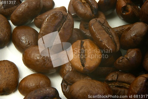 Image of coffee beans