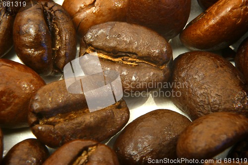 Image of coffee beans