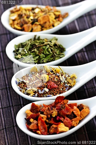 Image of Assorted herbal wellness dry tea in spoons