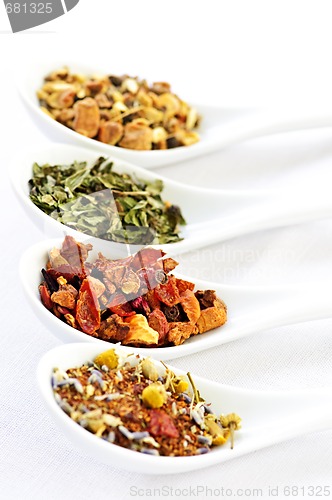 Image of Assorted herbal wellness dry tea in spoons