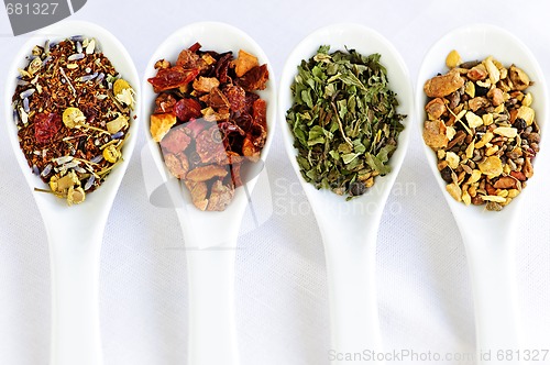 Image of Assorted herbal wellness dry tea in spoons