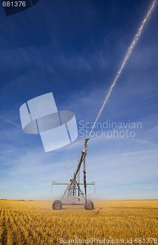 Image of Wheat field irrigation