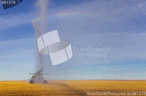 Image of Irrigation spray