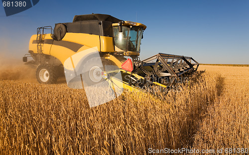 Image of Yellow  harvester