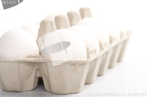 Image of white eggs in packing