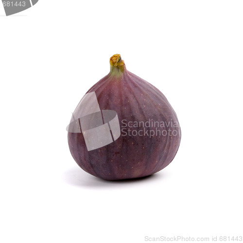 Image of fresh fig