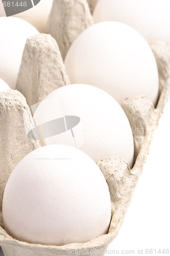Image of white eggs in packing