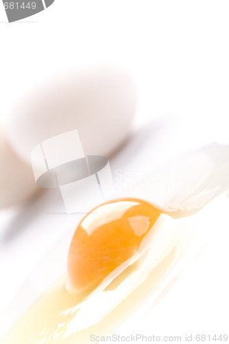 Image of whole and broken white chicken eggs