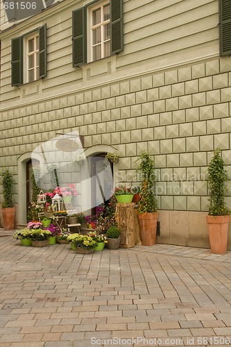 Image of flower shop