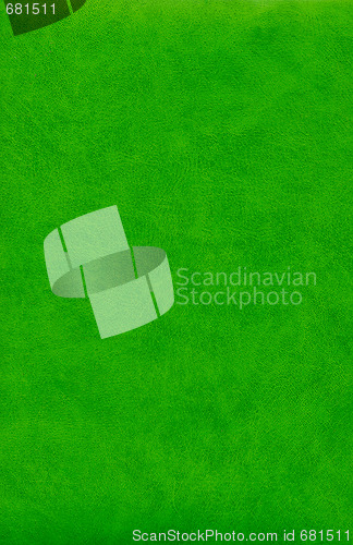 Image of Abstract green leather texture