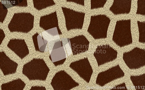 Image of giraffe texture background