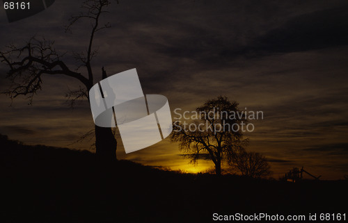 Image of sunset with old trees