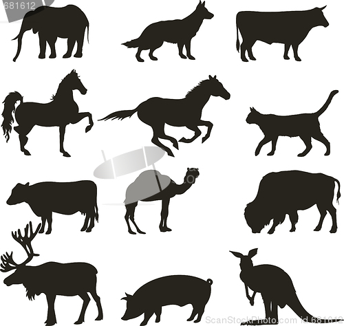 Image of vector animals 