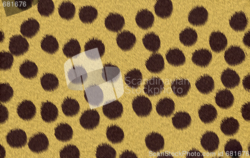 Image of cheetah texture background