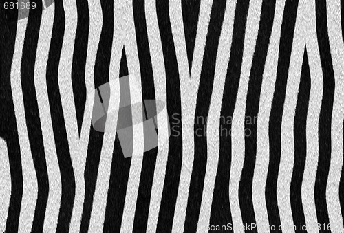 Image of zebra texture 