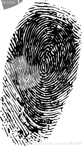 Image of fingerprint