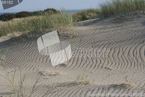 Image of Dunes