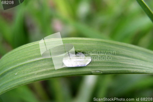 Image of A Drop of Rain