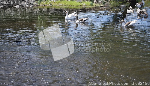 Image of river