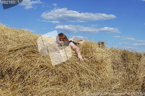 Image of hay