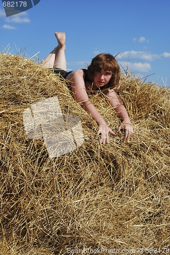 Image of hay