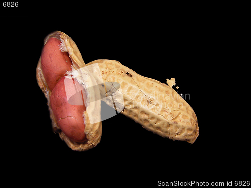 Image of Inside Peanut