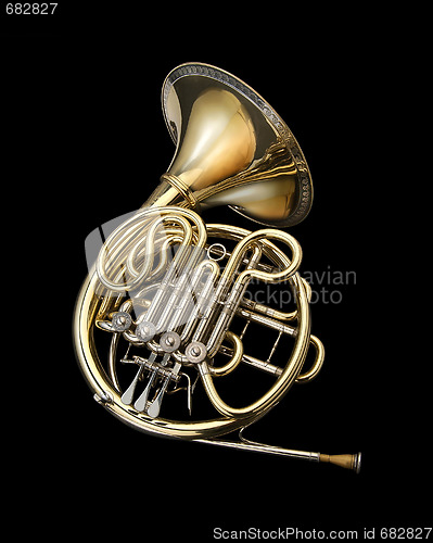 Image of French horn