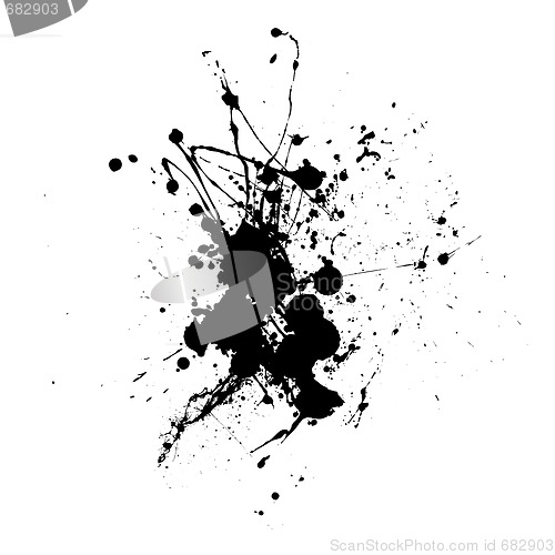Image of spider splat