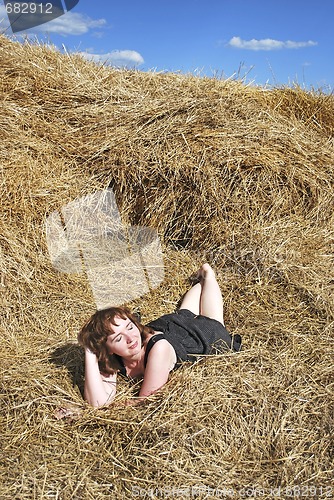 Image of hay