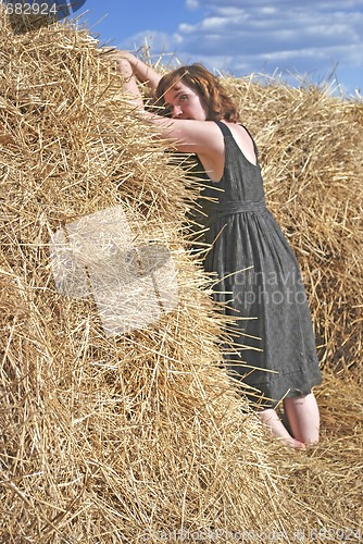 Image of hay