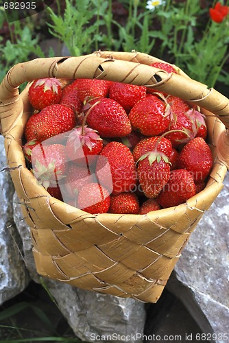 Image of basket of the strawberries